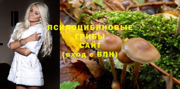 спайс Вязьма