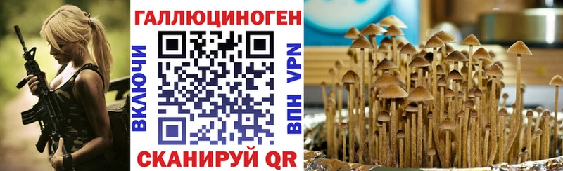купить наркотик  Могоча  Галлюциногенные грибы GOLDEN TEACHER 